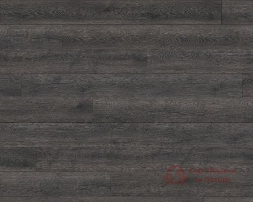 Ламінат Haro, кол. Tritty 100 Gran Via, Дуб Контура чорний 533144 фото №1