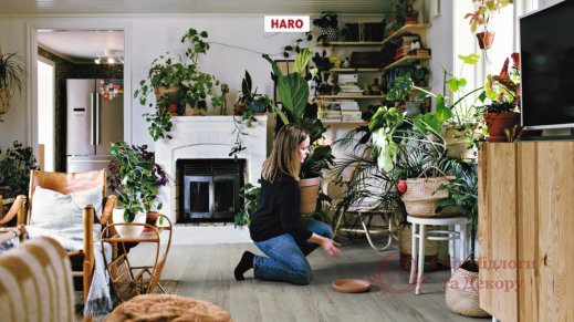 Ламинат Haro, колл. Tritty 100 Loft, Дуб Скандинавия 538718 фото №3 Ламинат Haro, колл. Tritty 100 Loft, Дуб Скандинавия 538718 фото №3