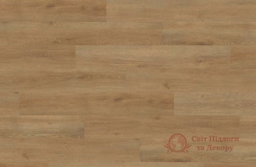 Ламинат Haro, колл. Tritty 200 Aqua, Дуб Венето натур 540246 фото №1 Ламинат Haro, колл. Tritty 200 Aqua, Дуб Венето натур 540246 фото №1