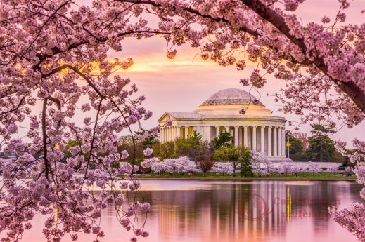 Фотообои 2 Вид с окна, арт. 22699 фото №1