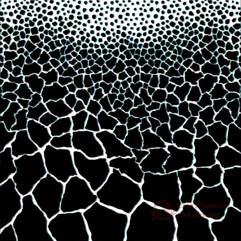 Обои Emiliana parati, колл. Roberto Cavalli Home 5 арт. RC16227 фото №1