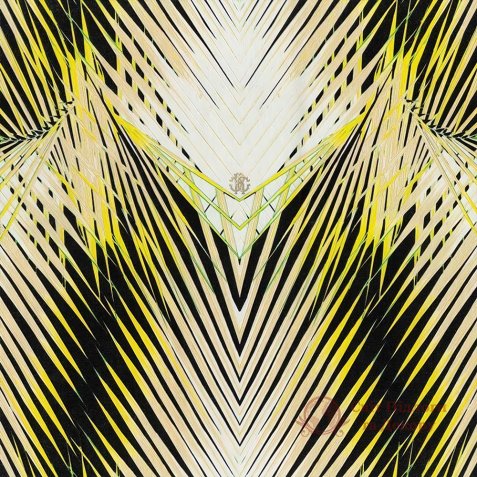 Обои Emiliana parati, колл. Roberto Cavalli Home 6 арт. RC17002 фото №1