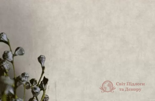 Обои AS Creation, колл. Garda арт. 38732-2 фото №4