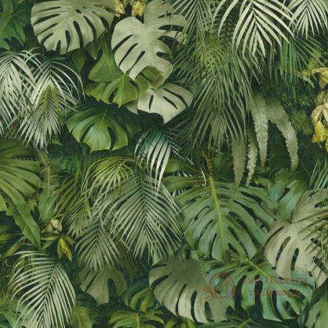 Шпалери AS Creation, кол. Greenery арт. 37280-2 фото №1