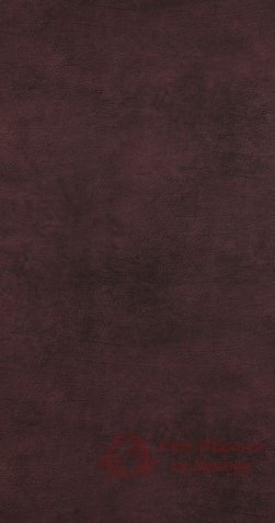 Обои BN, колл. Curious арт. 17929 фото №1