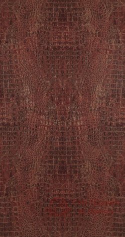 Обои BN, колл. Curious арт. 17957 фото №1