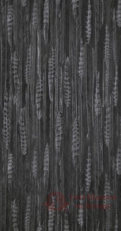 Обои BN, колл. Curious арт. 17968 фото №1