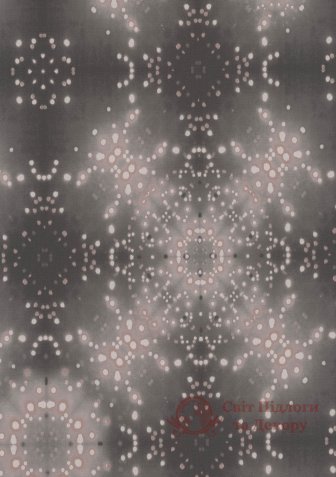 Шпалери BN, кол. Glassy арт. 218335 фото №1