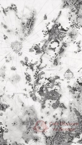 Шпалери Casadeco, кол. Baltic арт. BTI29319120 панно фото №1