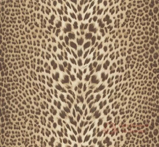 Шпалери Emiliana parati, кол. Roberto Cavalli арт. RC15095 фото №1