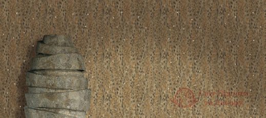 Шпалери Emiliana parati, кол. Roberto Cavalli арт. RC14063 фото №2