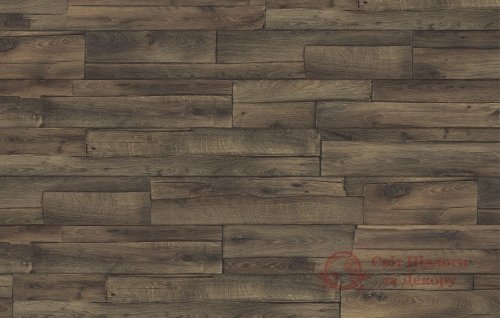 Ламинат Egger, колл. Euroclic, Дуб Традиция H1016 фото №1