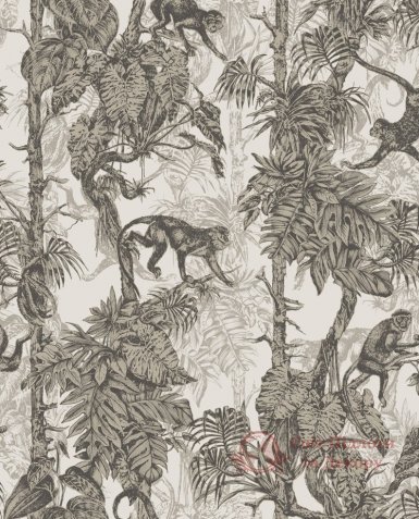 Шпалери Graham&Brown, кол. Paradise арт. 104278 фото №1