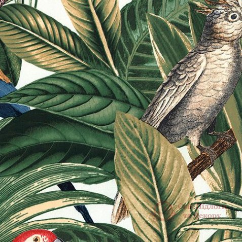 Обои Grandeco, колл. Botanical арт. BA2203 фото №1