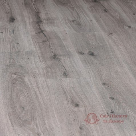 Ламинат Grandeco, колл. Maximum, Дуб Серебристо-серый 3754 фото №1