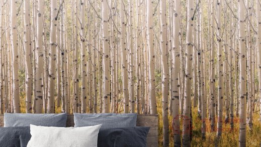 Панно Grandeco, кол. One Roll One Motif арт. A42601 фото №2