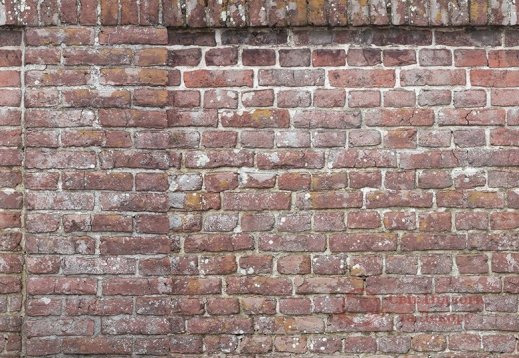 Панно Grandeco, колл. One Roll One Motif арт. A42901 фото №1