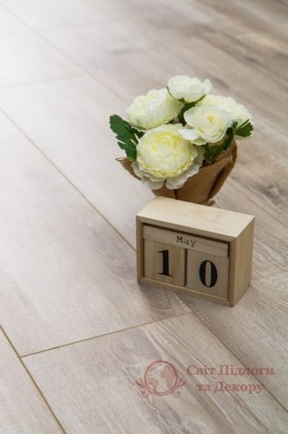 Ламінат Alsapan, кол. Solid, Монет SO 527 фото №3