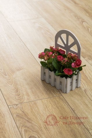 Ламінат Beauty Floor, кол. Diamond, Дуб Канарський 621 фото №4