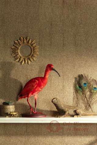 Шпалери Khroma, кол. Cabinet Of Curiosities арт. CAB904 фото №2