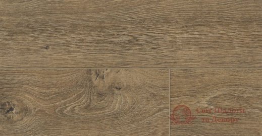 Ламінат Kaindl, кол. Natural Touch Premium, Дуб Buffalo 37267 фото №1