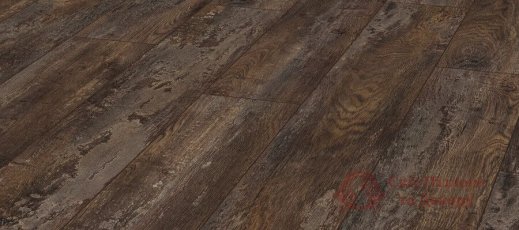 Ламинат Kronotex, колл. Exquisit, Дуб Лискам D 4790 фото №1