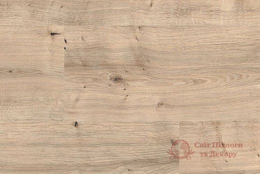 Ламинат Meister, колл. LD 75, Дуб капучино 6263 фото №1