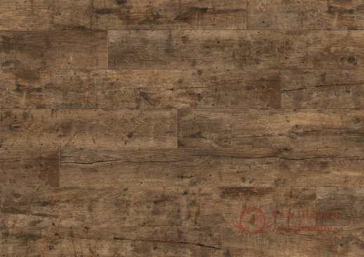 Ламінат Quick Step, кол. Perspective, Дуб почтенный натуральний UF 1157 фото №1