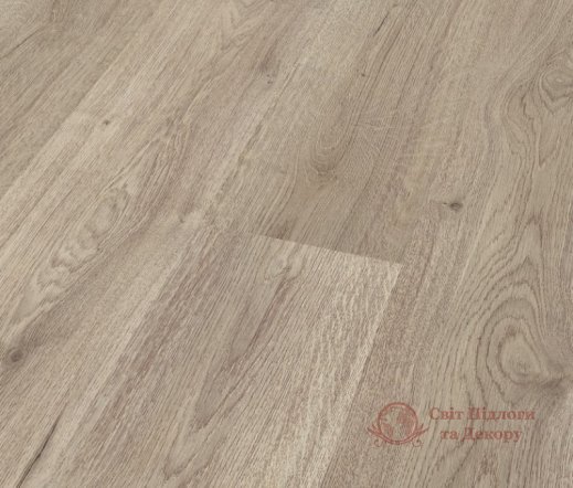 Ламінат Star Collection, кол. Magic Stars, Дуб тренд сірий D3126 фото №1 Ламінат Star Collection, кол. Magic Stars, Дуб тренд сірий D3126 фото №1