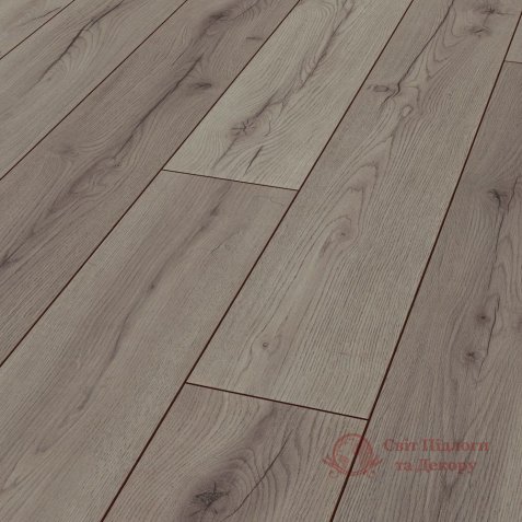 Ламінат Star Collection, кол. Magic Stars, Дуб столетний сірий D4175 фото №1 Ламінат Star Collection, кол. Magic Stars, Дуб столетний сірий D4175 фото №1