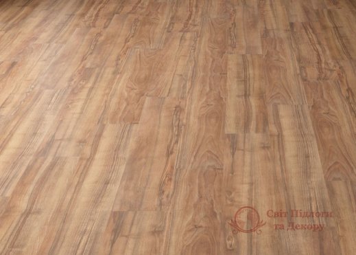 Ламінат Faus, кол. Tempo, Акация Natural 1T15 фото №1