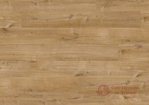 Вінілова плитка Quick-Step Pulse Glue Plus, Дуб бавовна натуральна PUGP40104 фото №1