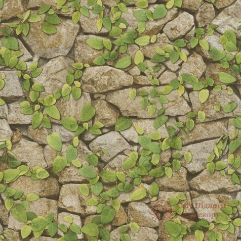 Шпалери Rasch, кол. Barbara Becker Passion 2018 арт. 476408 фото №1