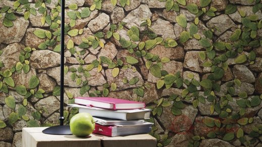 Шпалери Rasch, кол. Barbara Becker Passion 2018 арт. 476408 фото №3