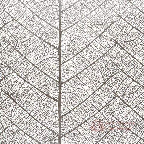 Обои Sandudd, колл. Rolleri 7 арт. 4955-6 фото №1