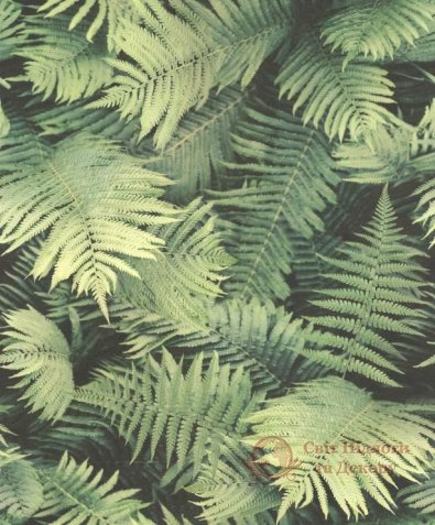 Шпалери Rasch, кол. Barbara Becker 6 арт. 860917 фото №1