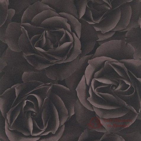 Обои Rasch, колл. Crispy Paper арт. 525618 фото №1