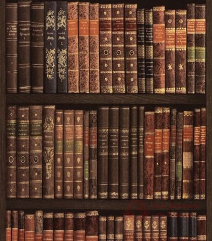 Обои Rasch, колл. Crispy Paper арт. 525809 фото №1