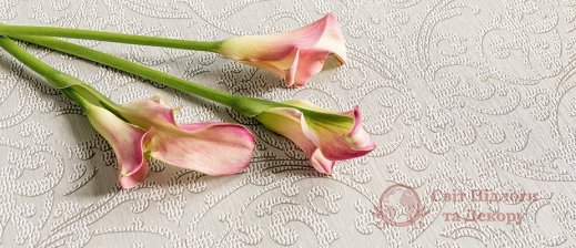 Шпалери Rasch Textil, кол. Da Capo арт. 85890 фото №2