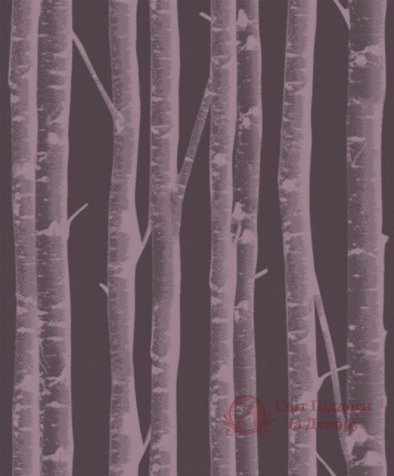 Шпалери Khroma, кол. Silence арт. SIL 304 фото №1