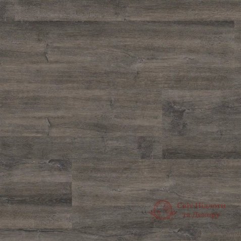 SPC плитка SolidCORE Living, Дуб Окра 61407 фото №1