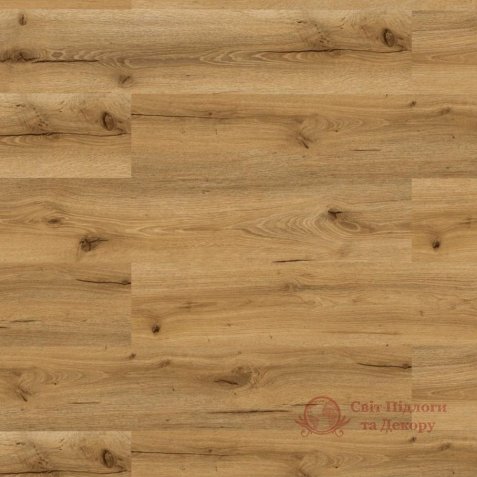 SPC плитка Check колл. Maximum, Дуб Weddingstedt 2487 фото №1