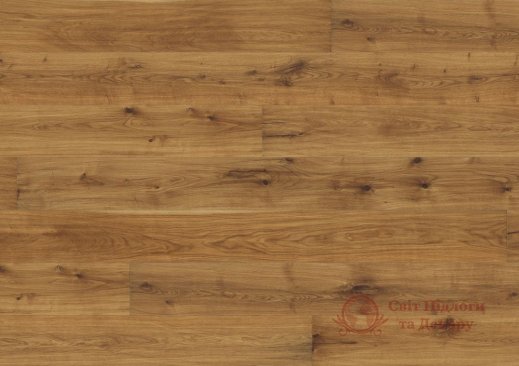 Паркетная доска Terhurne, колл. Sensual, Дуб Unique Ocher Brown C16a 1-но пол. фото №1