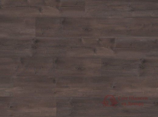 Ламинат Balterio, колл. Traditions, Сосна Truffle TRD 61013 фото №1