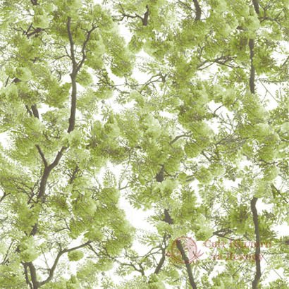 Обои Ugepa, колл. Home арт. L33104 фото №1 Обои Ugepa, колл. Home арт. L33104 фото №1