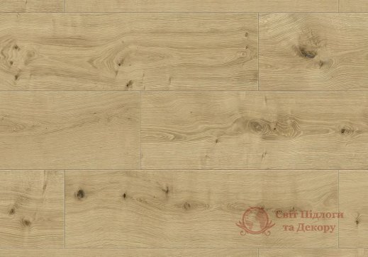 SPC плитка Kronostep кол. Wide Plank, Дербі R281 фото №1