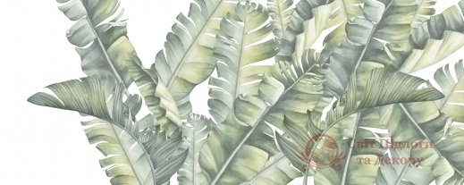 Фотообои 2 Дизайнерские листья, арт. 24256 фото №1 Фотообои 2 Дизайнерские листья, арт. 24256 фото №1