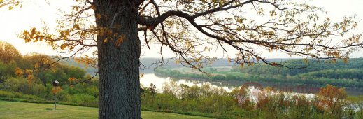 Фотообои 2 Природа, арт. 30741 фото №1 Фотообои 2 Природа, арт. 30741 фото №1