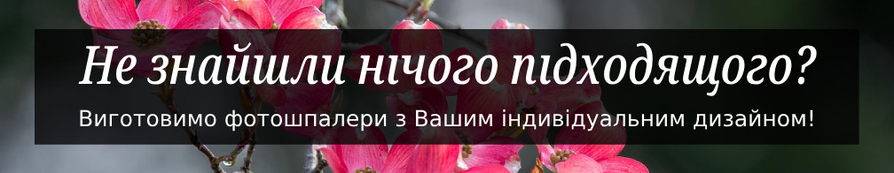 Індивідуальне виготовлення фотоошпалер